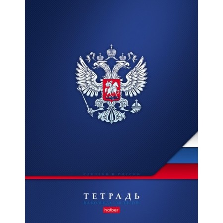 Notebook on 4 rings, A5, 160 sheets, in a cage, "Russia", matte lamination