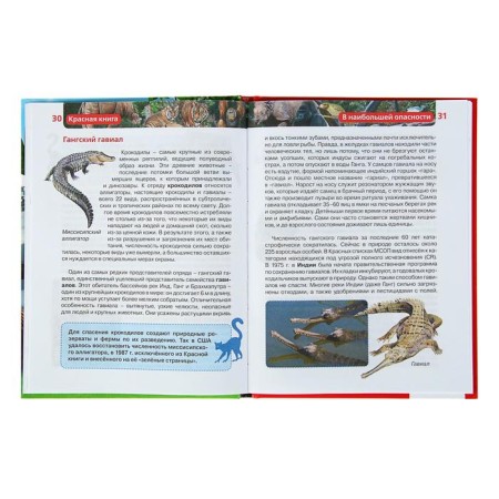 Children's Encyclopedia "Red Book"-2