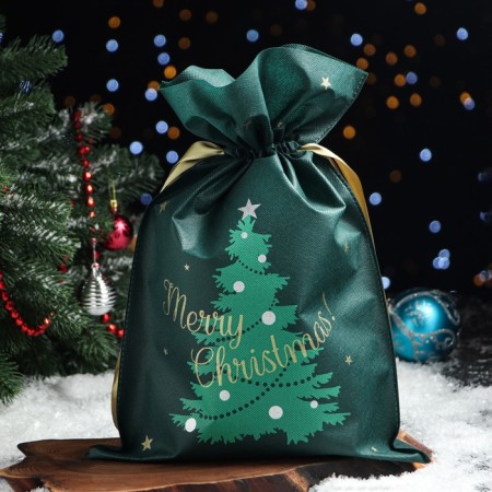 Gift bag "New Year's miracle", 30 x 45 cm