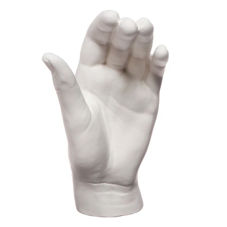 Gypsum figure anatomical details: "Women's brush" 18.5 cm