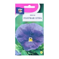 Viola Flowers 