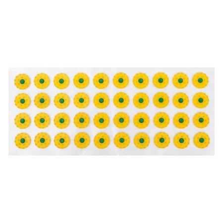 Kuznetsov applicator, 40 spines, film, 14x32 cm.-1