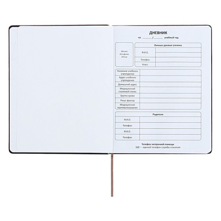 Universal diary for grades 1-11 "Geometry", solid cover of artificial leather, silkography, lies, 48 ​​sheets, brown-turquoise-3
