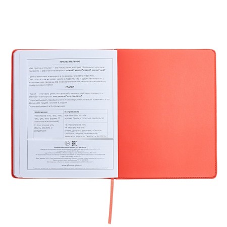 Universal Grade 1-11 Diary, 48 sheets "Pink backpack", solid artificial leather cover, uplift, pancake embossing, lies, universal cheat sheet, block 80 g/m2-12