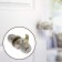 Latch 1103, with a key, color matte nickel