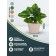 Kashpo for flowers and plants, 30 liter sand 41x41x33cm