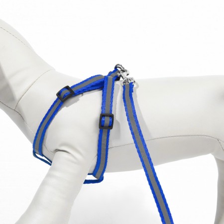 A set with a reflective tape, a collar 120 x 1 cm, OG 26-40 cm, blue-4