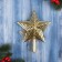 Tip "Star stripes volume of flower" 18x14 cm, gold