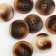 A set of buttons, 4 punctures, d = 25 mm, 10 pcs, brown color
