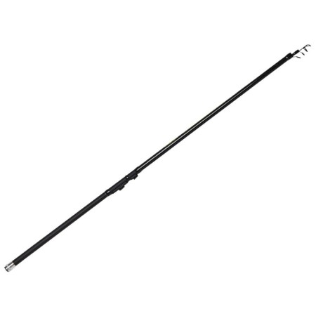The float rod with the rings of Salmo Sniper Bolognese Medium M, test 3-15 g., Length 3 m.