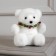 LED figure "Bear" 15 × 16 × 12 cm, phlock, batteries CR2032x2 (not in the kit), glow warm white