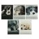 Notebook of 48 sheets in the cage "puppies", cover coated cardboard, hybrid varnish, mix