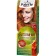 Hair Cream Palette phytolinia, tone 390, light copper