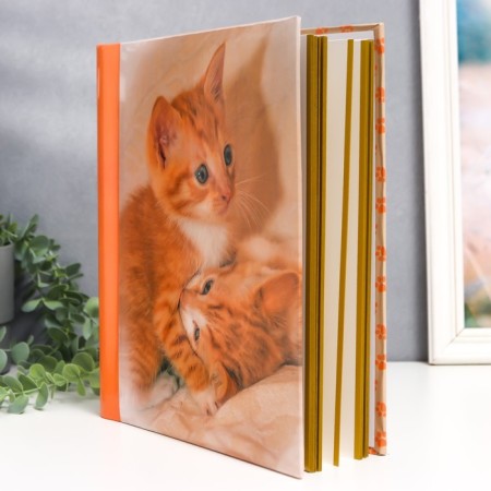 Photo album 30 magnetic sheets "Rednecks" 23x28 cm-2