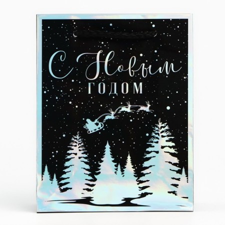 Package Holographic Vertical “Winter Forest”, S 12 x 15 x 5.5 cm, New Year-2