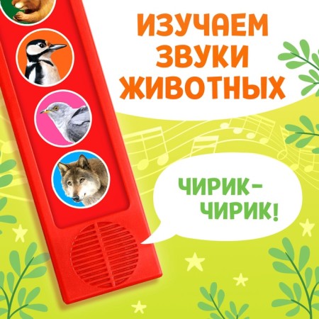 Musical developing toy "Sounds of Forest", 5 buttons-2