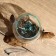 Vazon Glass on the Wood "Classic" 15x15x18 cm