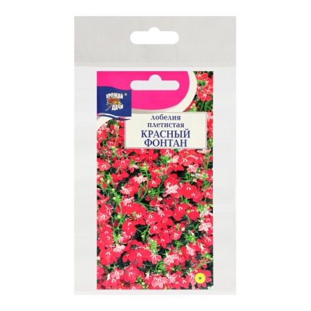 Flower flowers of lobelia climbing "red fountain", set 5 pcs-2