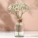 Vase for flowers, transparent, 250 ml.