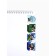 Magnetic bookmarks for books, 4 pcs. In the postcard "Young hero, from February 23!"