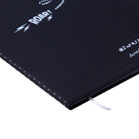 Universal Diary for the 1-11 classic adventure, hard cover, artificial leather, lies, 80 g/m2-2