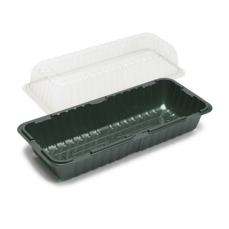 Mini-Pirate for seedlings, 39.5 × 17 × 13 cm, without inserts, dark green, Greengo-2