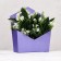 Trapection envelope is monophonic, purple 19.5x 23 x 8 cm