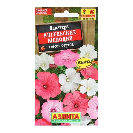 Lavather flowers "angelic melodies", a mixture of varieties, 0.3 g