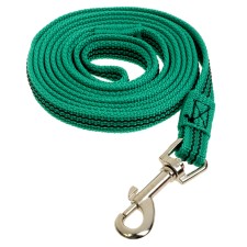 The leash zoonik is nylon with latex thread, 2 m x 1.5 cm, green