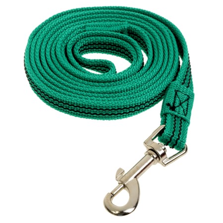 The leash zoonik is nylon with latex thread, 2 m x 1.5 cm, green