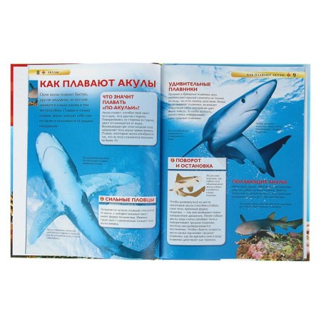 Children's Encyclopedia. Sharks-2
