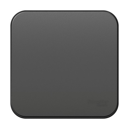 Passing SE BLANCA, 10 A, 1 key, IP20, invoice, color of the antr., Blnva106016