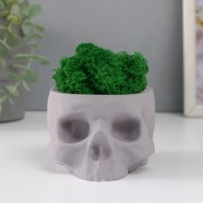 Kashpo concrete 