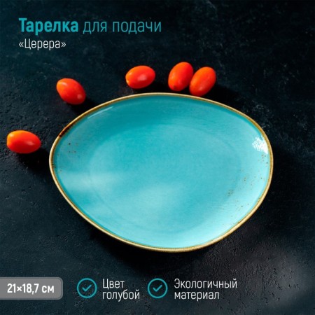Porcelain dish for feeding Magistro "Cerera", 21 × 18.7 cm, blue color