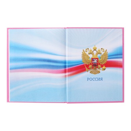 Diary 5-11 class Cat, 48 sheets, solid cover, glossy lamination, foil embossing, offset block-15