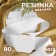 Knitted elastic 80mm 40 ± 2m white au