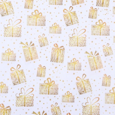 Paper Glossy "Gifts", 0.49 x 0.7 m-2