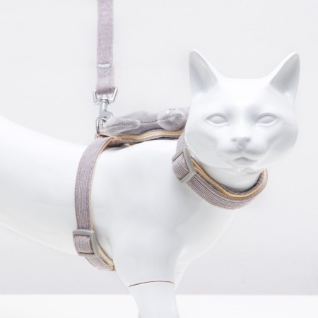 A set of ammunition with a toy, m, leash 120 x 1.5 cm, gray-2
