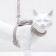 A set of ammunition with a toy, m, leash 120 x 1.5 cm, gray