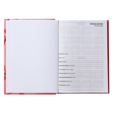 Diary is semi -dushed on a stitch, A5 160 sheets, cardboard 7BC, attributes of our time, glossy lamination-2