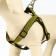 Acunition set is embossed, leash 120 x 2 cm, og 44-50 cm, yellow-black