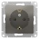 SETLASDESIGN outlet, 16 A, with curtains, with salary, mechanism, color steel