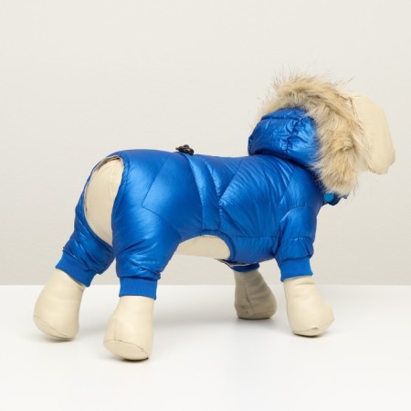 The overalls "boy" with a weight, size 12 (ds 28 cm, og 38 cm, Osh 27 cm), blue hue-3