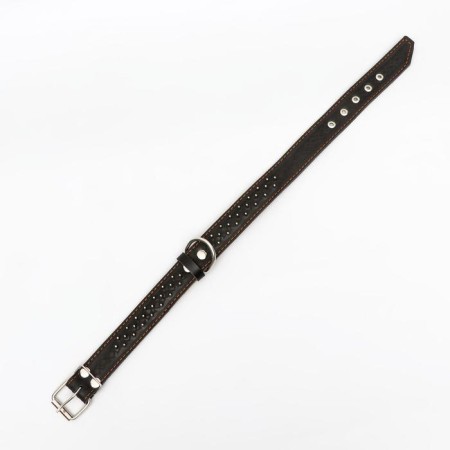 Collar leather two-layer rogging "hedgehog", 65 x 3.5 cm, Osh 50-60 cm, black-2