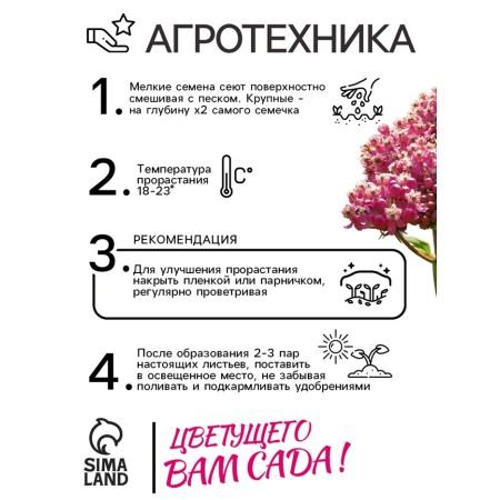 Carmin pink Carmin pink seeds, 0.03 g-3