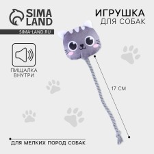 A toy for dogs 