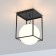 Ceiling chandelier Mantra Desigual, E27, 1x20W, 285x285x405 mm, black color