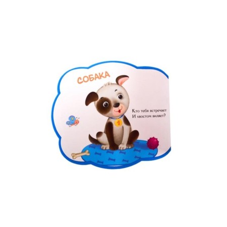 Pets. Riddles, puzzle-2