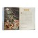 “The Bible for children. 365 stories for every day ”, silt. L. Glazer-Node
