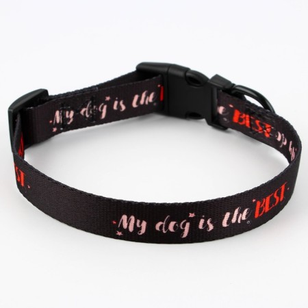 Collar My Dog is the Best, fastener - Fastex, 2 cm 25-40 cm-4